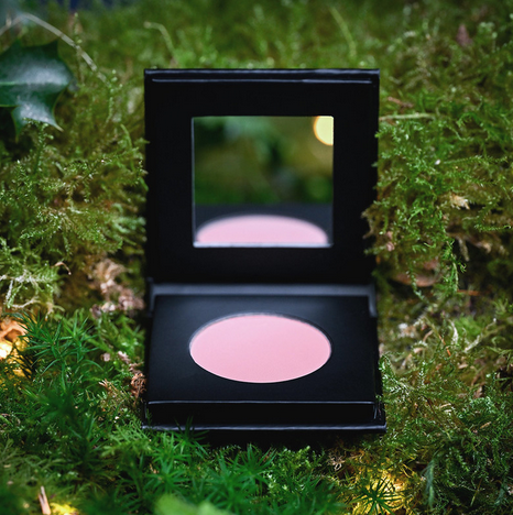 Blush Sothys - Fard à joues éclat - 10 rose essentiel