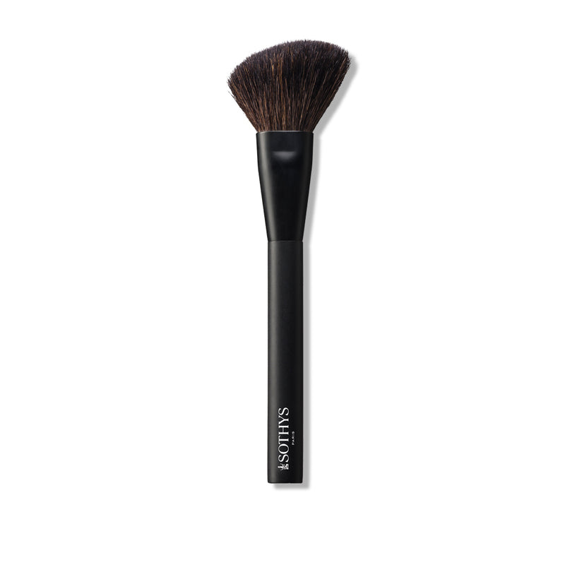 Pinceau blush